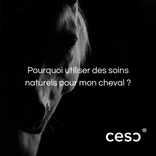 Pourquoi utiliser des soins naturels pour mon cheval ?
