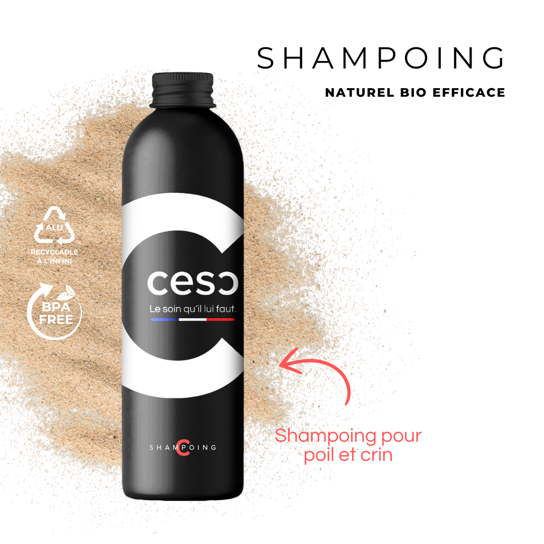 Shampoing Poils & Crins