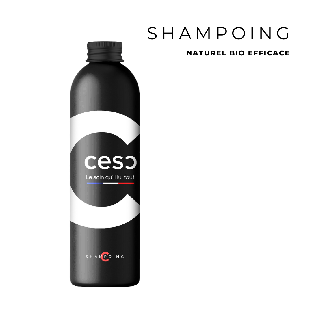 Shampoing Poils & Crins