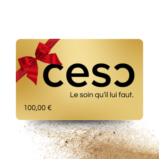 Carte cadeau ceso élite 100 euros
